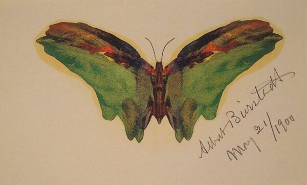 Butterfly by Albert Bierstadt, hand-painted oil reproduction