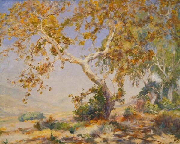 California Sycamore by Mathias J Alten, hand-painted oil painting reproduction