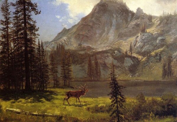 Call of the Wild by Albert Bierstadt, hand-painted oil painting reproduction