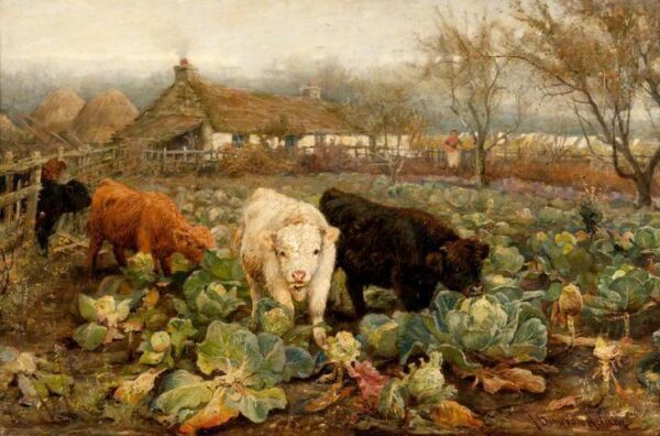 Calves in the Cabbage Patch by Joseph Denovan Adam, hand-painted oil reproduction