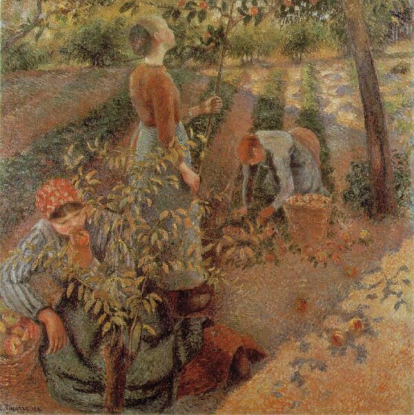 Apple Picking by Camille Pissarro, hand-painted oil painting reproduction