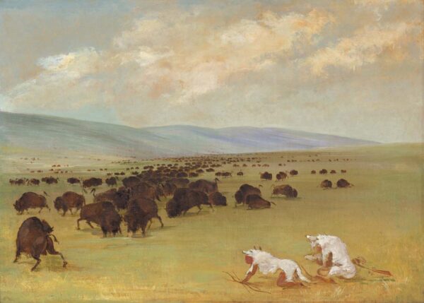 Catlin and His Indian Guide Approaching Buffalo under White Wolf Skins by George Catlin, hand-painted oil painting reproduction