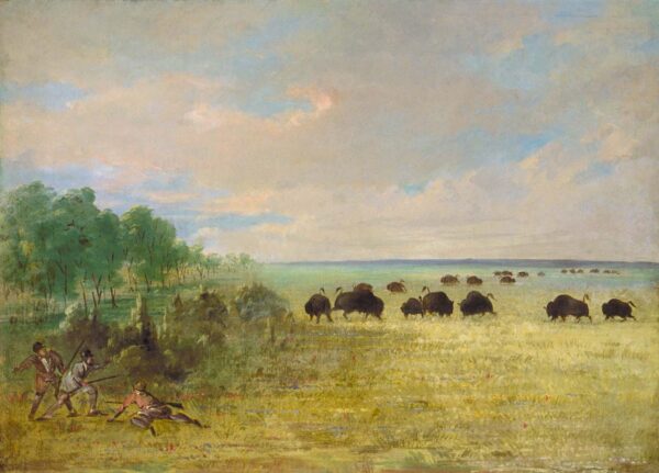 Catlin and Party Stalking Buffalo in Texas by George Catlin, hand-painted oil painting reproduction