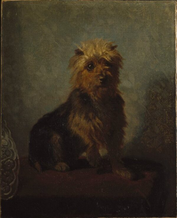 Chadwick’s Dog by Abbott Handerson Thayer, hand-painted oil painting reproduction