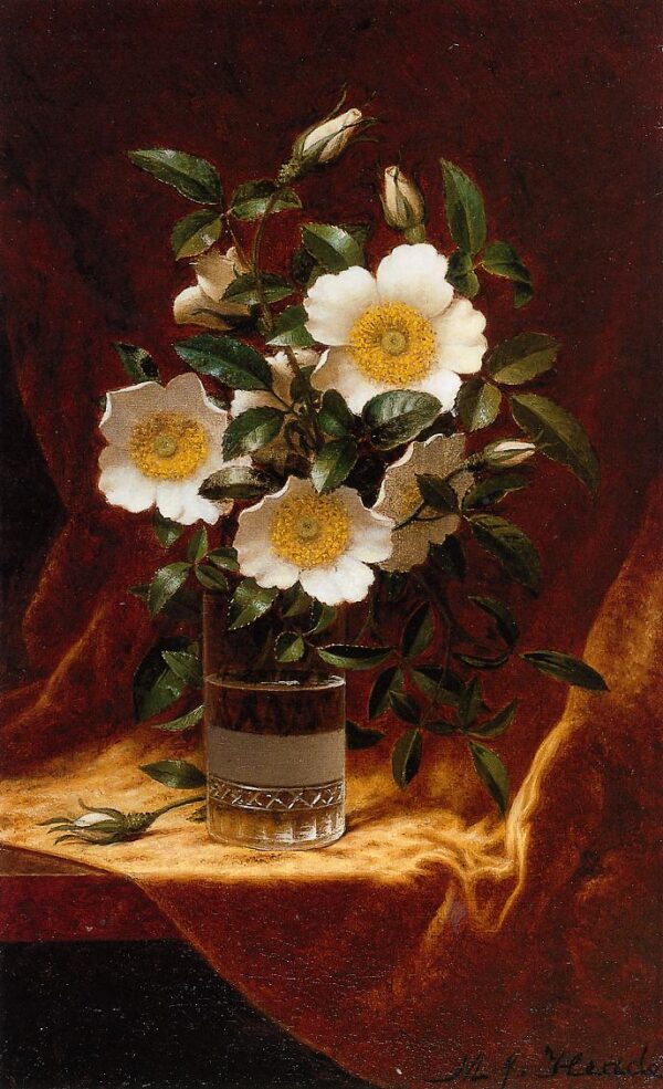 Cherokee Roses in a Glass by Martin Johnson Heade, hand-painted oil painting reproduction