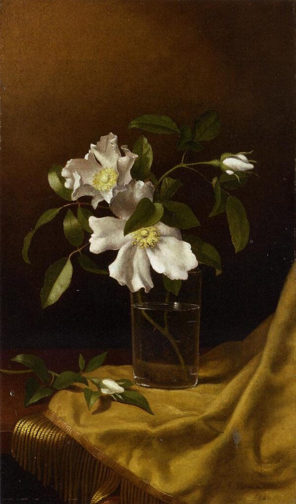 Cherokee Roses in a Glass on Gold Velvet Plush by Martin Johnson Heade, hand-painted oil reproduction