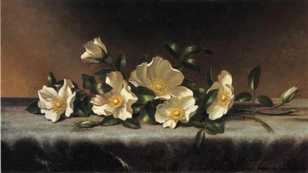 Cherokee Roses on a Light Gray Cloth by Martin Johnson Heade, hand-painted oil painting reproduction