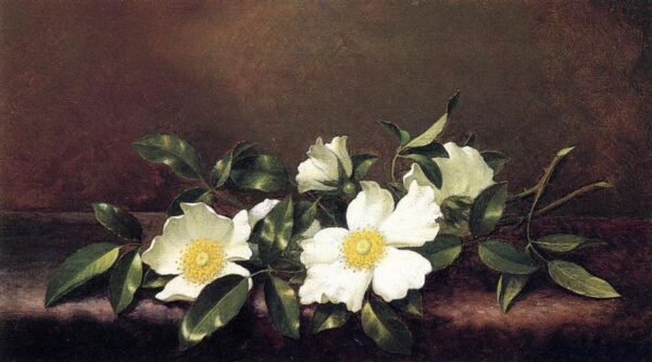 Cherokee Roses on a Purple Velvet Cloth by Martin Johnson Heade, hand-painted oil reproduction