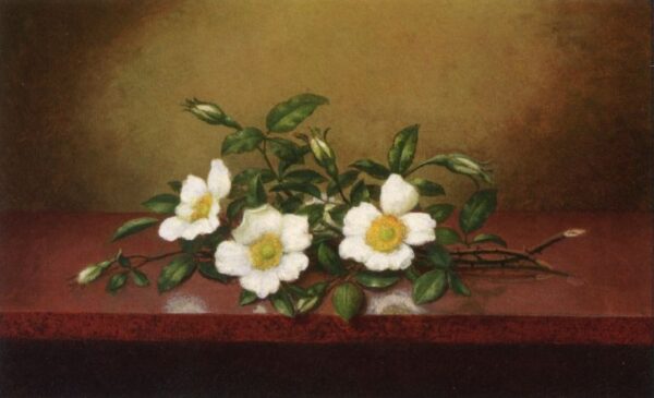 Cherokee Roses on a Shiny Table by Martin Johnson Heade, hand-painted oil painting reproduction
