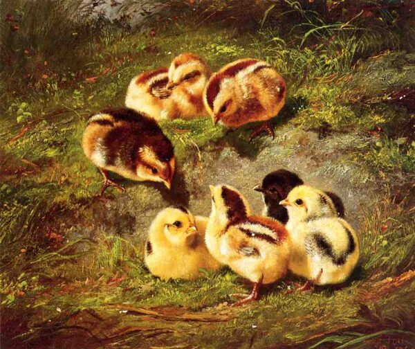 Chickens by Arthur Fitzwilliam Tait, hand-painted oil reproduction