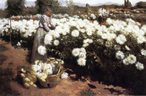Chrysanthemum Garden in Southern California by Fannie Eliza Duvall, hand-painted oil painting reproduction