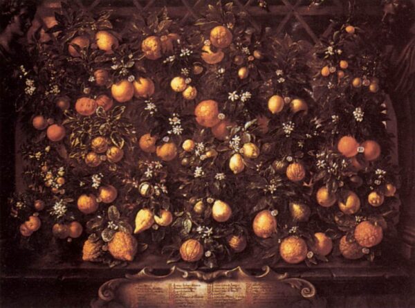 Citrus by Bartilomo Bimbi, hand-painted oil painting reproduction