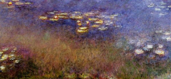 Agapanthus present state by Claude Monet, hand-painted oil painting reproduction