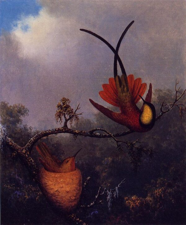 Crimson Topaz by Martin Johnson Heade, hand-painted oil painting reproduction