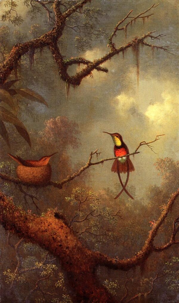 Crimson Topaz Hummingbirds Nesting in a Tropical Forest by Martin Johnson Heade, hand-painted oil reproduction