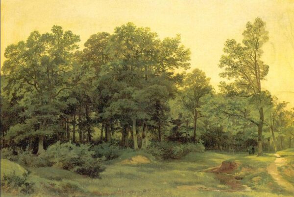 Deciduous Forest by Ivan Shishkin, hand-painted oil painting reproduction