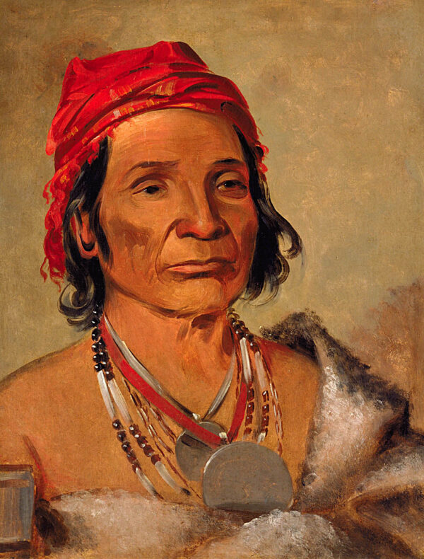 Deep Lake, an Old Chief by George Catlin, hand-painted oil painting reproduction