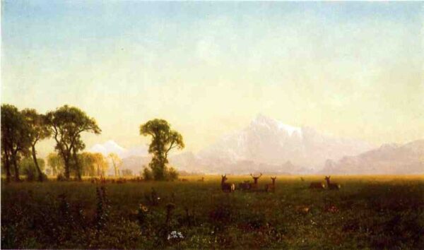 Deer Grazing, Grand Tetons, Wyoming by Albert Bierstadt, hand-painted oil painting reproduction