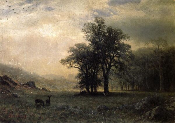 Deer in a Landscape by Albert Bierstadt, hand-painted oil painting reproduction