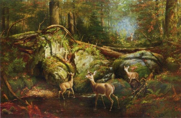 Deer in the Adirondacks by Arthur Fitzwilliam Tait, hand-painted oil painting reproduction