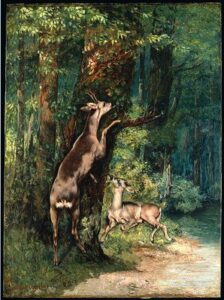 Deer in the Forest by Gustave Courbet, hand-painted oil painting reproduction