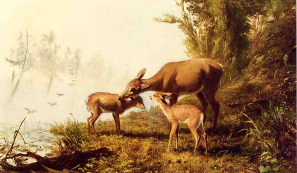 Deer in the Woods by Arthur Fitzwilliam Tait, hand-painted oil painting reproduction