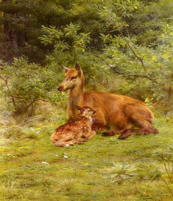 Doe and Fawn in a Thicket by Rosa Maria Bonheur, hand-painted oil painting reproduction