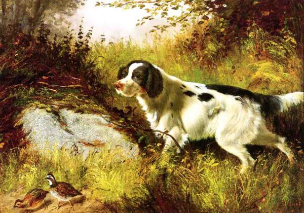 Dog and Quail by Arthur Fitzwilliam Tait, hand-painted oil painting reproduction