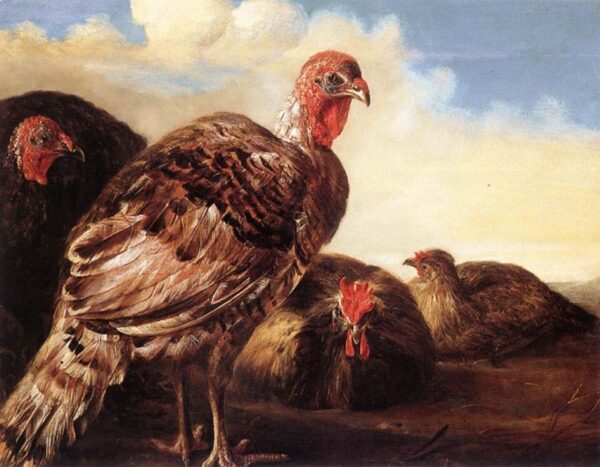Domestic Fowl by Aelbert Cuyp, hand-painted oil painting reproduction