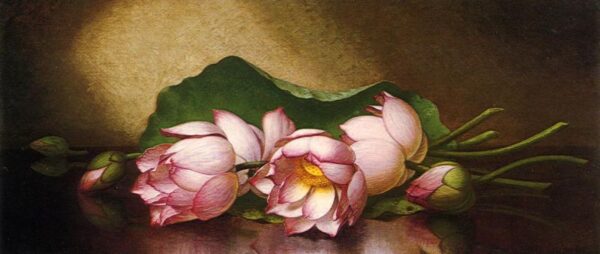 Egyptian Lotus Blossom by Martin Johnson Heade, hand-painted oil painting reproduction