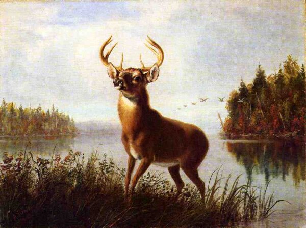 Eight Point Stag by Arthur Fitzwilliam Tait, hand-painted oil painting reproduction