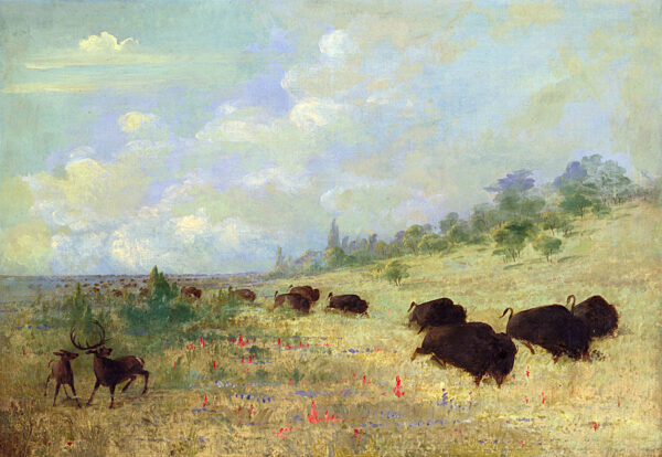Elk and Buffalo Grazing among Prairie Flowers, Texas by George Catlin, hand-painted oil painting reproduction