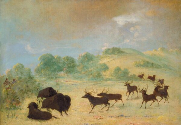 Elk and Buffalo Making Acquaintance, Texas by George Catlin, hand-painted oil painting reproduction