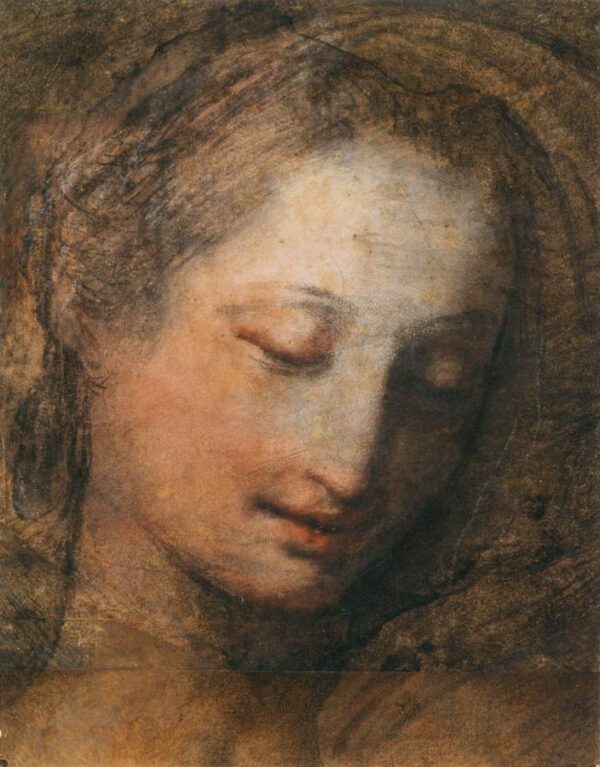 Face of a Woman with Downcast Eyes by Federico Fiori Barocci, hand-painted oil painting reproduction