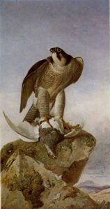 Falcon with a Ptarmigan by Richard Ansdell, hand-painted oil painting reproduction