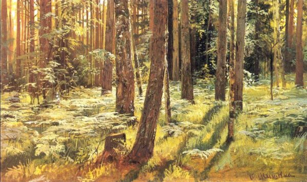 Ferns in a Forest by Ivan Shishkin, hand-painted oil painting reproduction