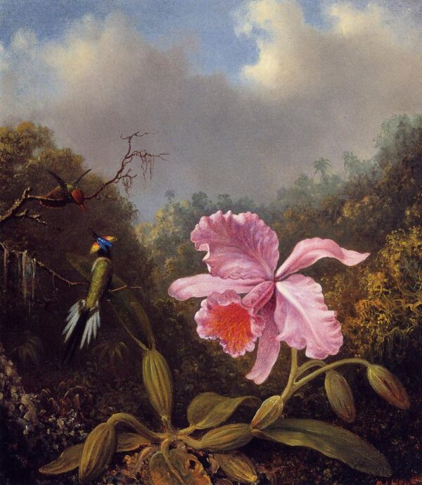 Fighting Hummingbirds with Pink Orchid by Martin Johnson Heade, hand-painted oil painting reproduction