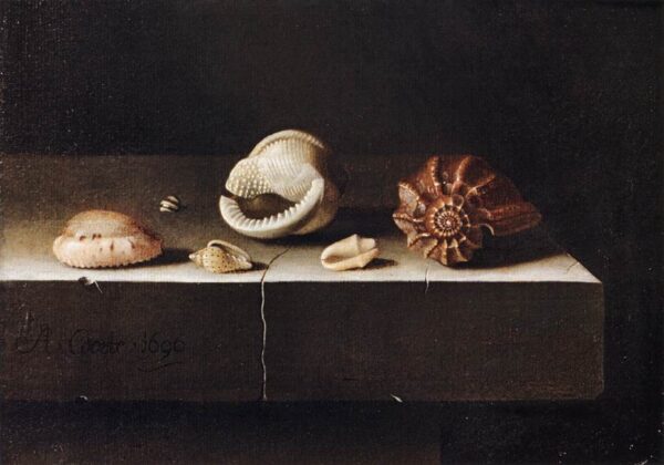 Five Shells on a Slab of Stone by Adriaen Coorte, hand-painted oil painting reproduction