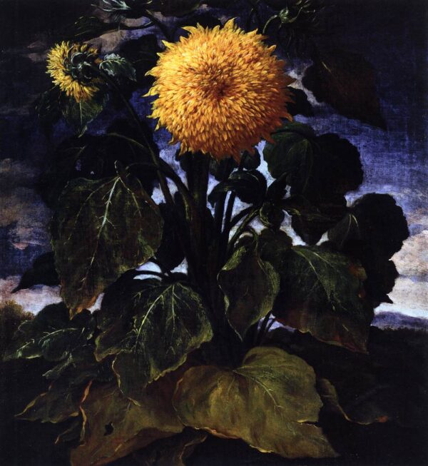 Flower by Bartilomo Bimbi, hand-painted oil painting reproduction