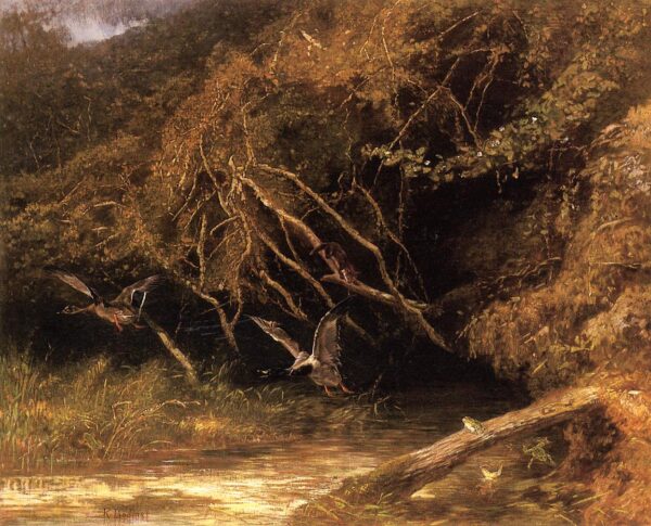 Forest with Ducks and Frogs by Karl Bodmer, hand-painted oil painting reproduction