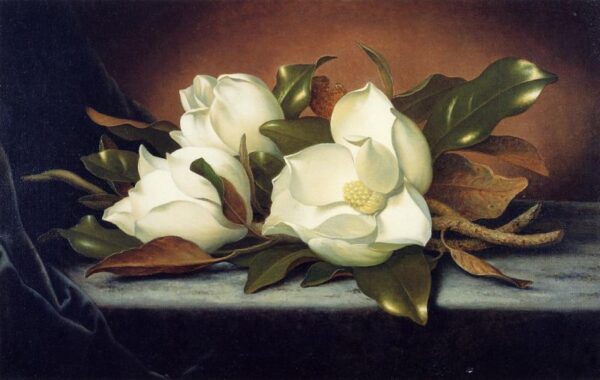 Giant Magnolias by Martin Johnson Heade, hand-painted oil painting reproduction