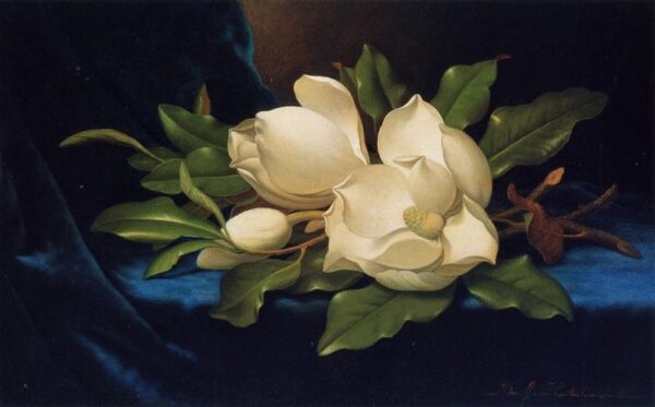 Giant Magnolias on a Blue Velvet Cloth by Martin Johnson Heade, hand-painted oil painting reproduction