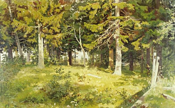 Glade in a Forest by Ivan Shishkin, hand-painted oil painting reproduction