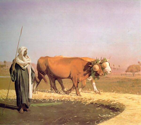 Treading out the Grain in Egypt by Jean-Léon Gérôme, hand-painted oil painting reproduction