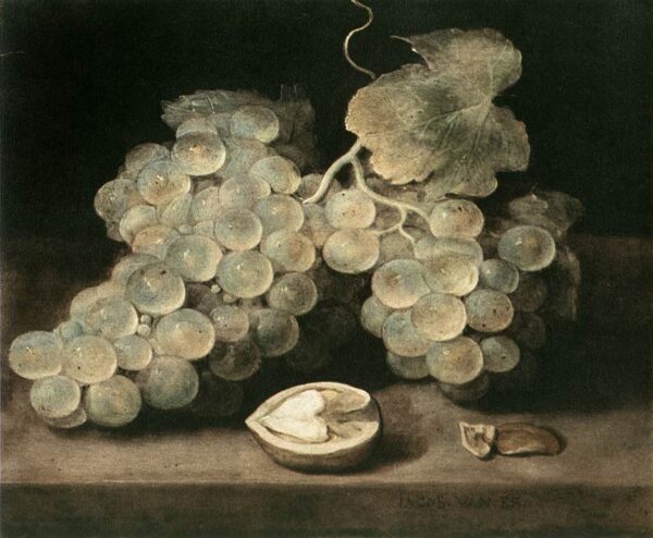 Grape with Walnut by Jacob van Es, hand-painted oil painting reproduction