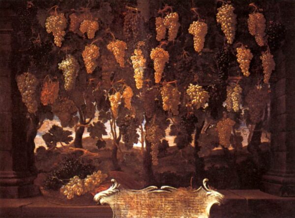 Grapes by Bartilomo Bimbi, hand-painted oil painting reproduction
