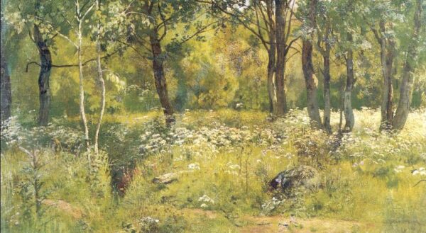 Grassy Glades of the Forest by Ivan Shishkin, hand-painted oil painting reproduction