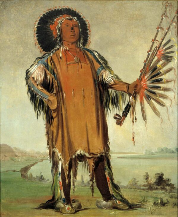 Ha na ta nu mauk, Wolf Chief, Head Chief of the Tribe by George Catlin, hand-painted oil reproduction