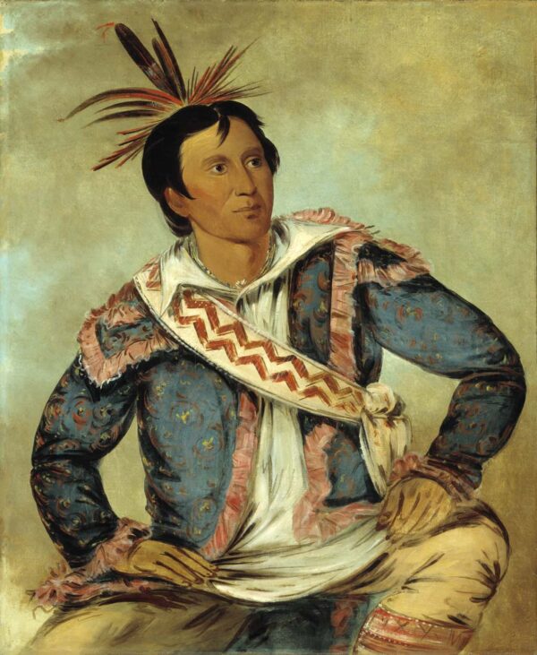 Ha tchoo tuc knee, Snapping Turtle, a Half breed by George Catlin, hand-painted oil painting reproduction