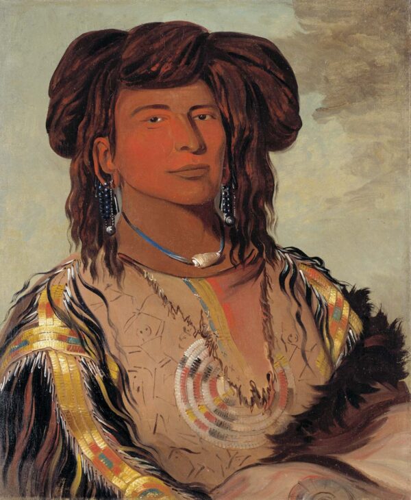 Ha won je tah, One Horn, Head Chief of the Miniconjou Tribe by George Catlin, hand-painted oil painting reproduction